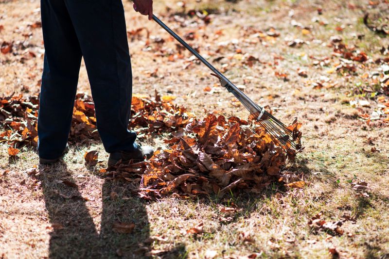 Leaf Raking and Collection