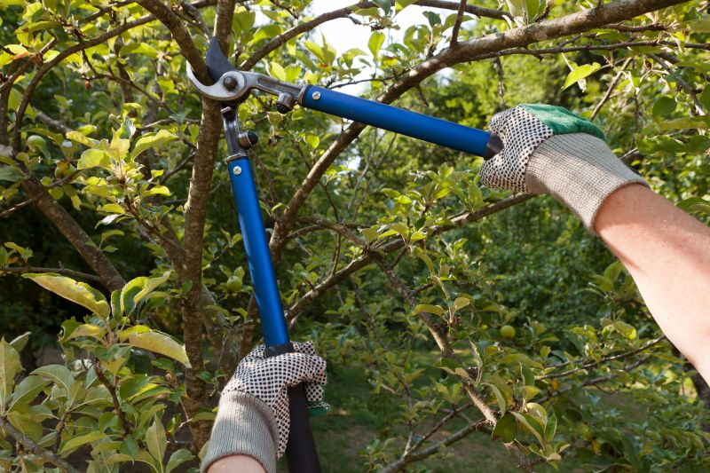 Tree Trimming Equipment