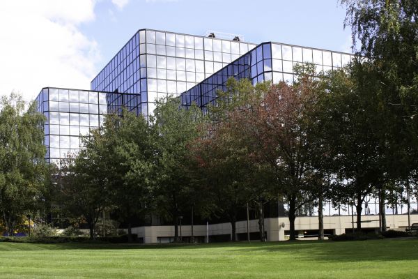Commercial Tree Trimming in American Fork